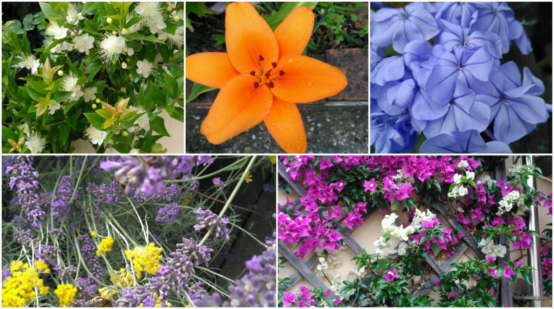 IMG_20180925_210642774